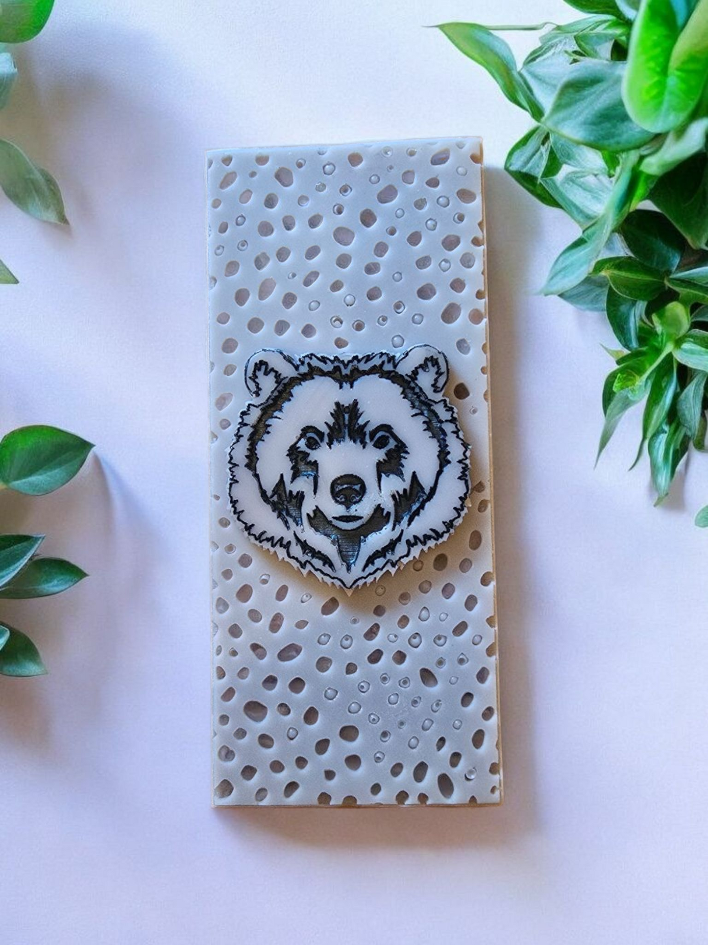 BEAR SNAP BAR
