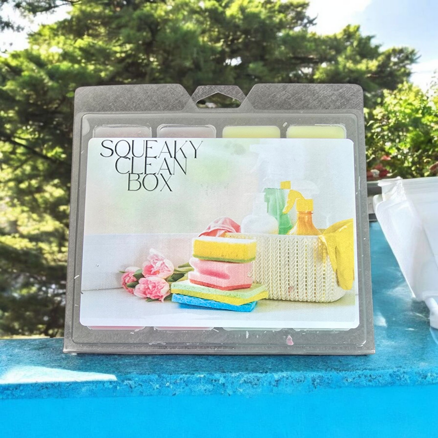 SQUEAKY CLEAN BOX