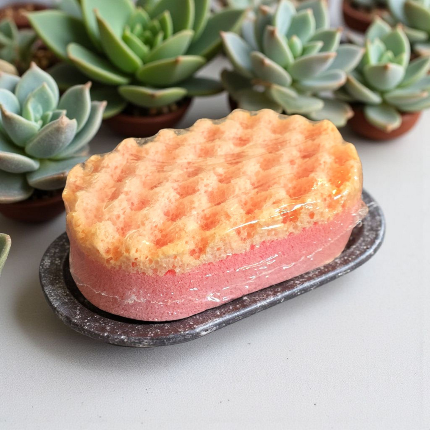 Bath sponges