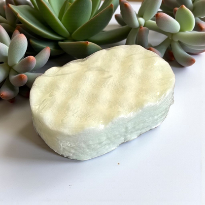 Bath sponges